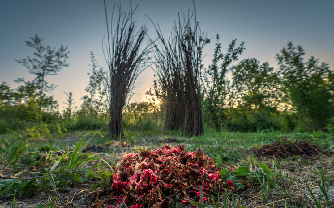 Il Giardiniere