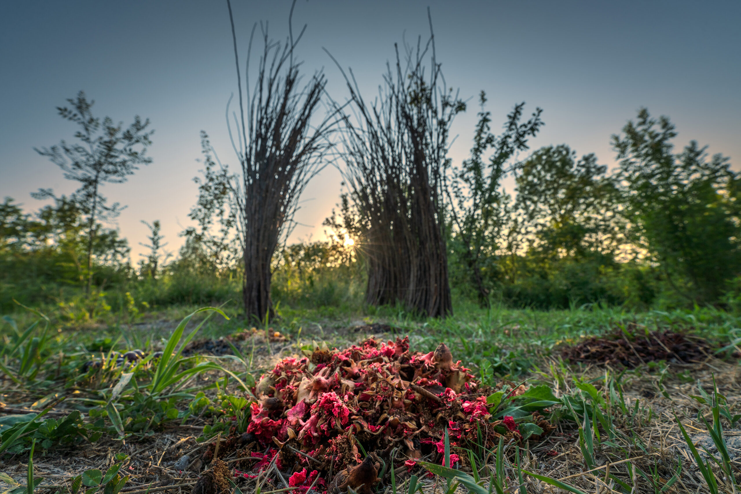 Il Giardiniere